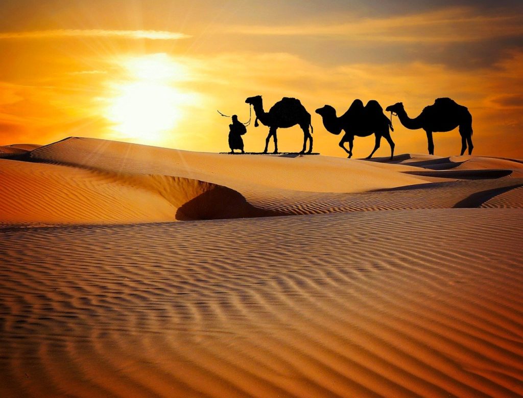 Sam Sand Dunes Safari Jaisalmer - Desert Circuit - The Eventor